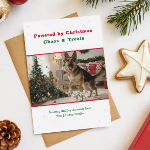 Cartão De Festividades Natal Fofo Engraçado Cachorro Pet Foto Natal