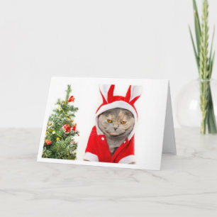 Cartão De Festividades Natal - Gato