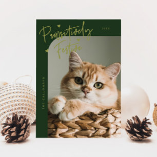 Cartão De Festividades Natal Gato Festivo Foto Verde