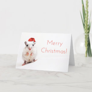 Cartão De Festividades Natal Gerbil Santa Hat Gerbils Santa Clause