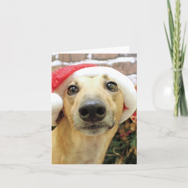Cartão De Festividades Natal - Greyhound - Pena (Frente)
