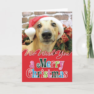 Cartão De Festividades Natal - Greyhound - Pena