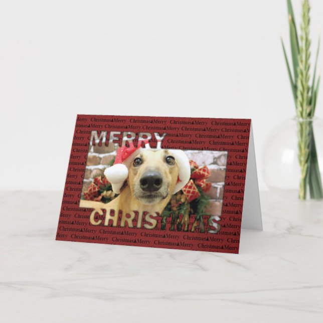 Cartão De Festividades Natal - Greyhound - Pena (Frente)