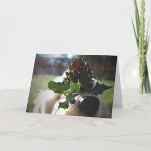 Cartão De Festividades Natal inglês velho do Sheepdog