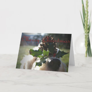 Cartão De Festividades Natal inglês velho do Sheepdog