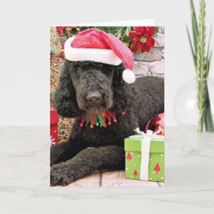 Cartão De Festividades Natal - LabraDoodle - Miller