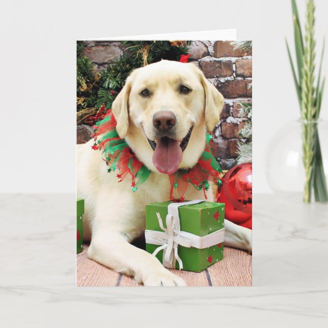 Cartão De Festividades Natal - Labrador Amarelo - Strider (Frente)