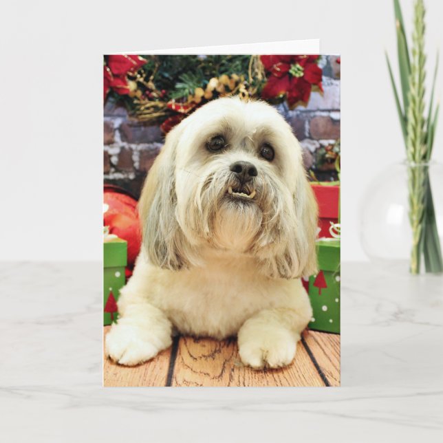 Cartão De Festividades Natal - Lhasa Apso - de solo (Frente)