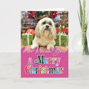 Cartão De Festividades Natal - Lhasa Apso - Solo