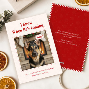 Cartão De Festividades Natal Minimalista Engraçado Cachorro Adorável Foto