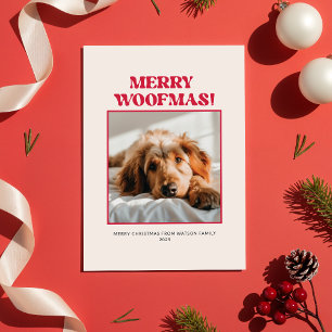 Cartão De Festividades Natal Mínimo Fofo Cachorro Engraçado Foto Presente