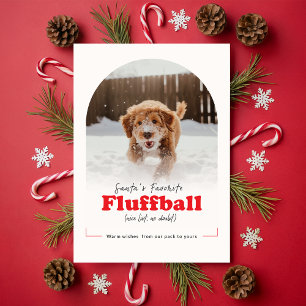 Cartão De Festividades Natal moderno fofo divertido cachorro Pet Arco Fot