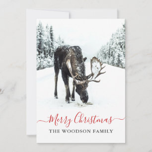 Cartão De Festividades Natal Moose Winter Snow Feliz Natal