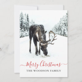 Cartão De Festividades Natal Moose Winter Snow Feliz Natal