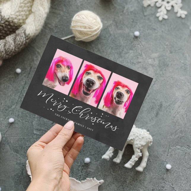 Cartão De Festividades Natal Personalizado com 3 Fotos de Animais de Esti (Criador carregado)