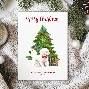 Cartão De Festividades Natal Personalizado do Cão Bichon Frise