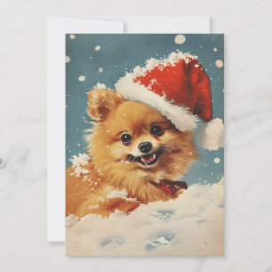 Cartão De Festividades Natal Pomerano