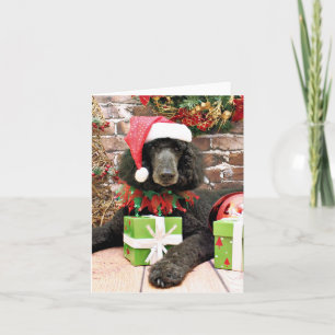 Cartão De Festividades Natal - Poodle Padrão - Bronco