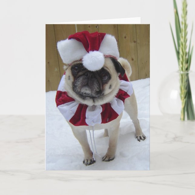 Cartão De Festividades Natal - Pug Feriado em Neve (Frente)