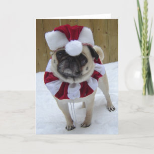 Cartão De Festividades Natal - Pug Feriado em Neve