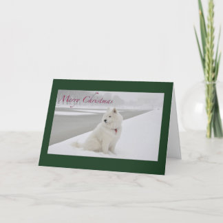 Cartão De Festividades Natal Samoyed (Memorial Lincoln)