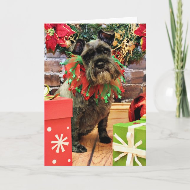 Cartão De Festividades Natal - Schnauzer - Fenway (Frente)