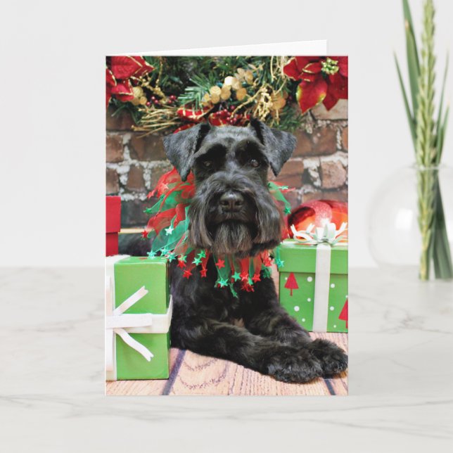 Cartão De Festividades Natal - Schnauzer - Fergie (Frente)