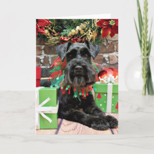 Cartão De Festividades Natal - Schnauzer - Fergie