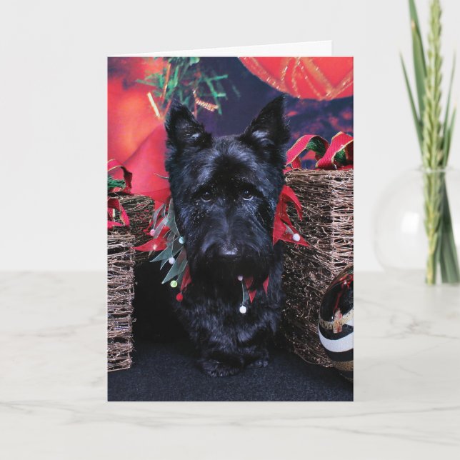 Cartão De Festividades Natal - Scottie - Paisley (Frente)