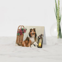 Cartão De Festividades Natal sheltie