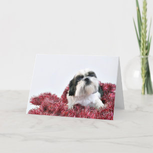 Cartão De Festividades Natal Shih Tzu