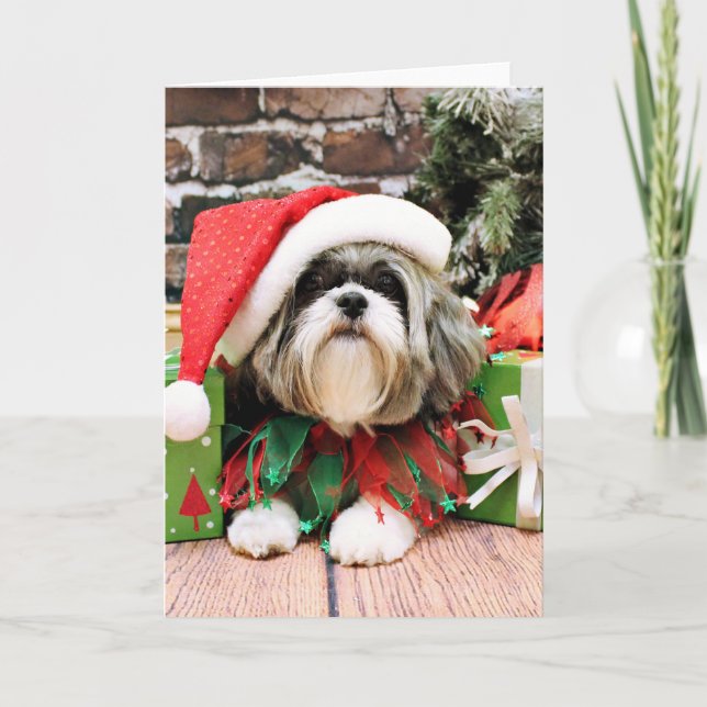 Cartão De Festividades Natal - Shih Tzu - Vince (Frente)