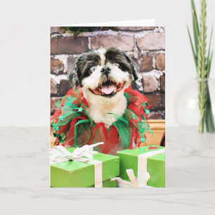 Cartão De Festividades Natal - Shih Tzu X - Sunny
