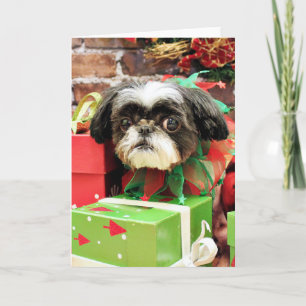 Cartão De Festividades Natal - Shih Tzu - Yogi