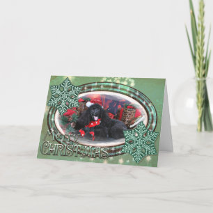 Cartão De Festividades Natal - Toby - Poodle