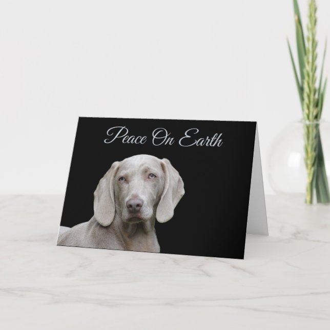 Cartão De Festividades Natal Weimaraner (Frente)
