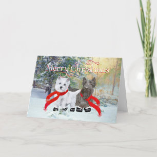 Cartão De Festividades Natal Westie Scottie
