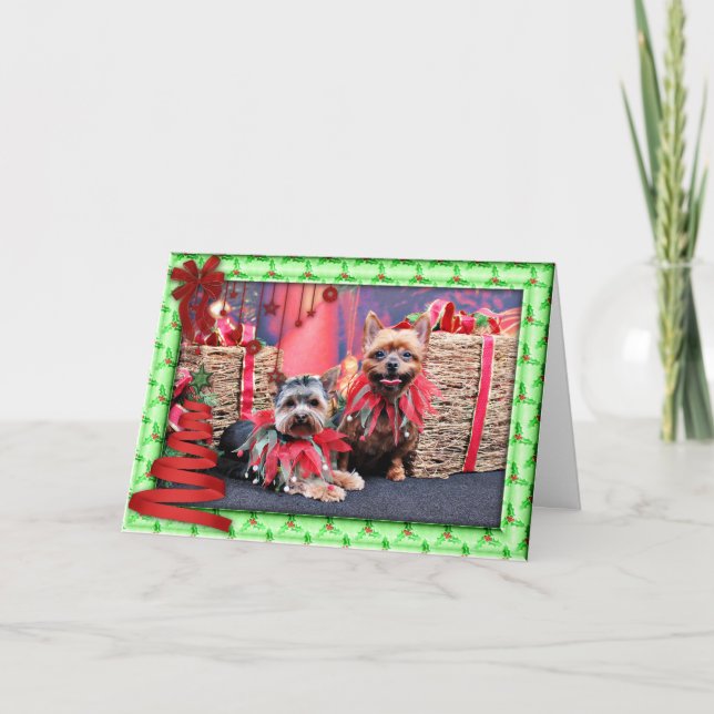Cartão De Festividades Natal - Yorkshire Terrier - Chloe e Rocky (Frente)
