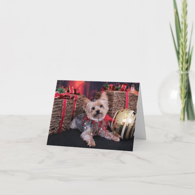 Cartão De Festividades Natal - Yorkshire Terrier - Vinnie (Frente)