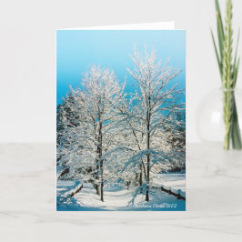 Cartão De Festividades Natureza: Cheia de divindade Lago Walden