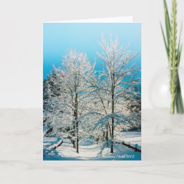 Cartão De Festividades Natureza: Cheio da divindade Walden Pond