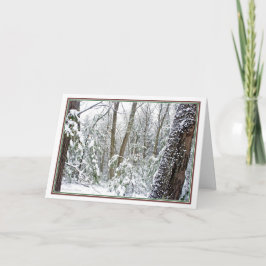 Cartão De Festividades ***Natureza: Viva cada estação