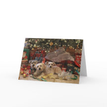 Naughty and nice pups