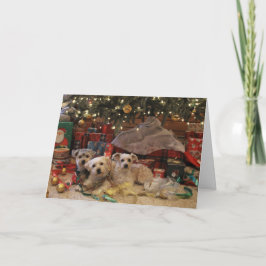 Cartão De Festividades Naughty and nice pups