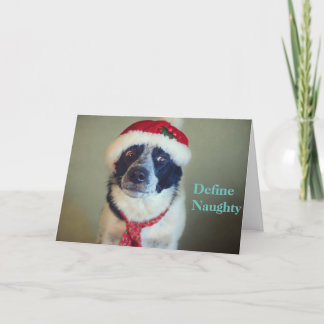 Cartão De Festividades Naughty Border Collie Christmas card