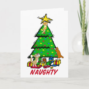 Cartão De Festividades Naughty Kitties Greetings Card
