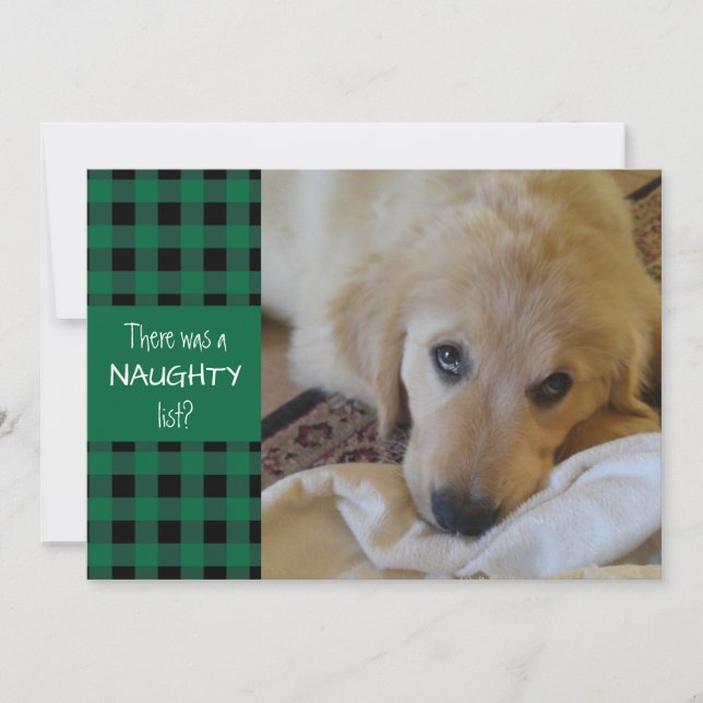 Cartão De Festividades Naughty or Nice Green Plaid HAPPY HOLIDAYS (Frente)