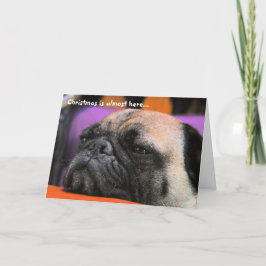 Cartão De Festividades Naughty Pug Christmas Card
