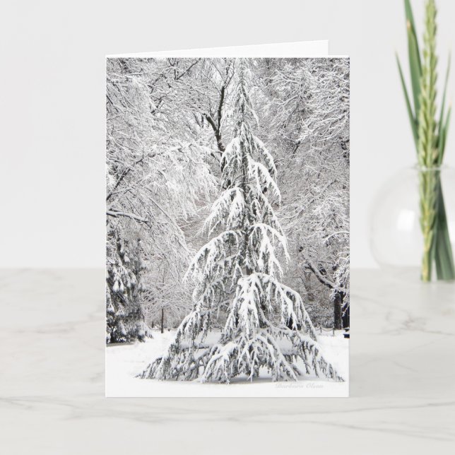 Cartão De Festividades Nenhum Floco De Neve Cai No Lugar Errado. (Frente)