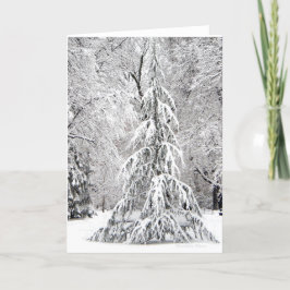 Cartão De Festividades Nenhum Floco De Neve Cai No Lugar Errado.